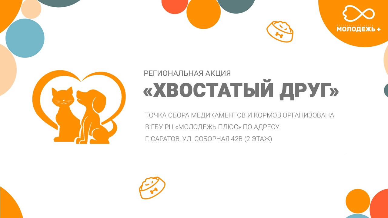 МОУ | Региональная акция «Хвостатый Друг» — это сбор корма для подопечных  частных и муниципальных приютов для бездомных животных. Акцию в 3-й раз  проводит ГБУ РЦ «Молодежь плюс». Данная акция реализуется с 20